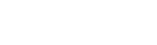 synthesio-ditto (2).png